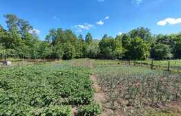 Casa de 4 camere, teren, 1600 mp, zona Metropolitana