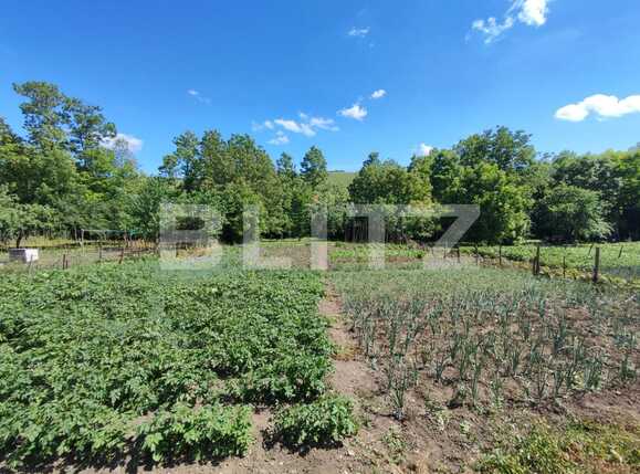 Casa de vânzare 4 camere Exterior Est - 88230CV | BLITZ Cluj-Napoca | Poza5