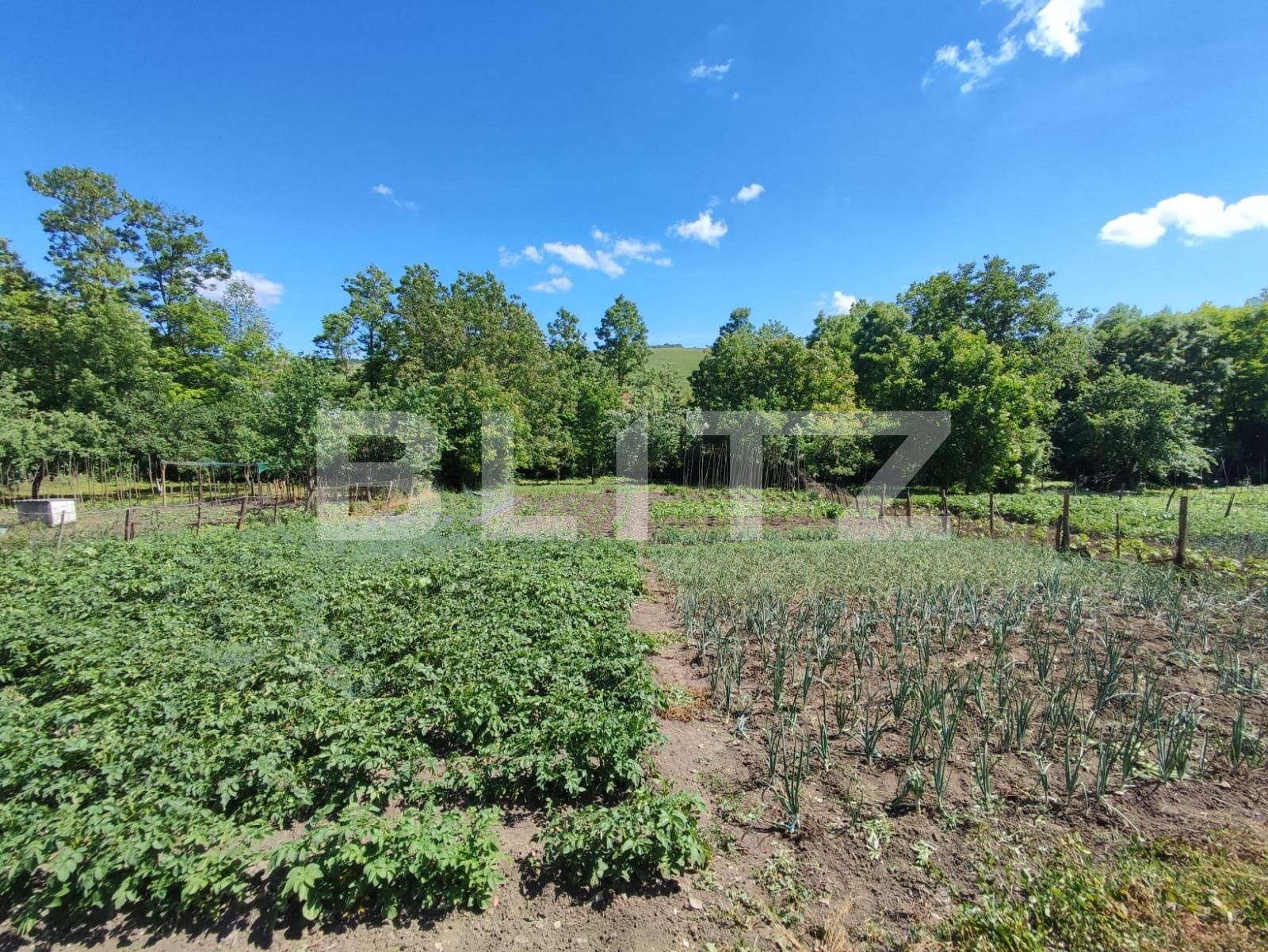 Casa de vânzare 4 camere Exterior Est - 88230CV | BLITZ Cluj-Napoca | Poza5