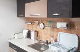 Apartament 1 camera Zona Kaufland Manastur