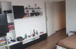 Apartament 1 camera Zona Kaufland Manastur