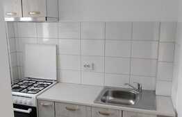 Garsonieră recent renovată, 23 mp, balcon, Zorilor