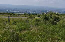 Teren 800 mp, zona Auchan Iris