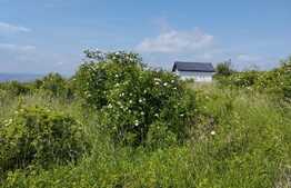 Teren 800 mp, zona Auchan Iris