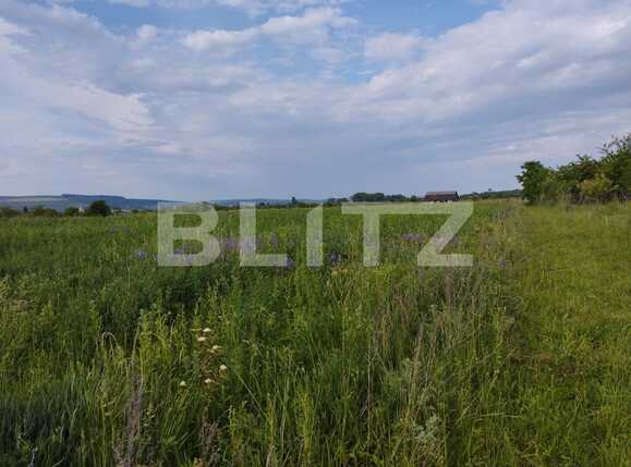 Teren de vânzare Sopor - 88286TV | BLITZ Cluj-Napoca | Poza1