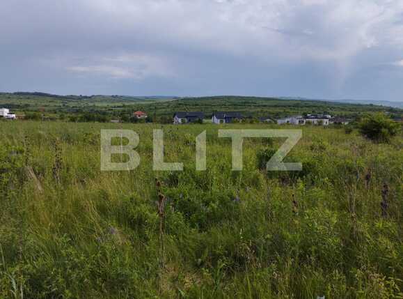 Teren de vânzare Sopor - 88286TV | BLITZ Cluj-Napoca | Poza2