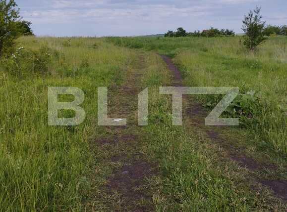 Teren de vânzare Sopor - 88286TV | BLITZ Cluj-Napoca | Poza4