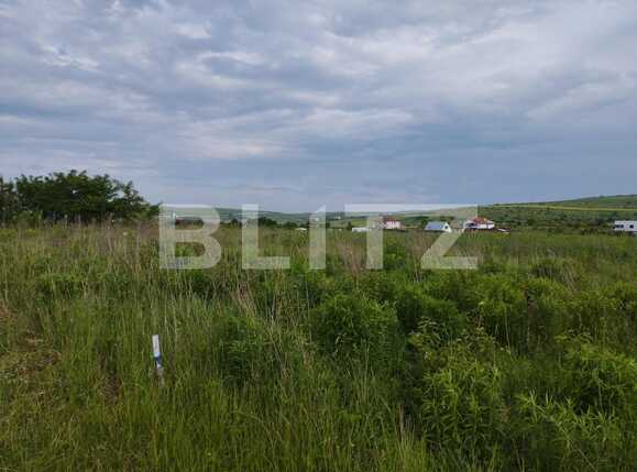 Teren de vânzare Sopor - 88286TV | BLITZ Cluj-Napoca | Poza3