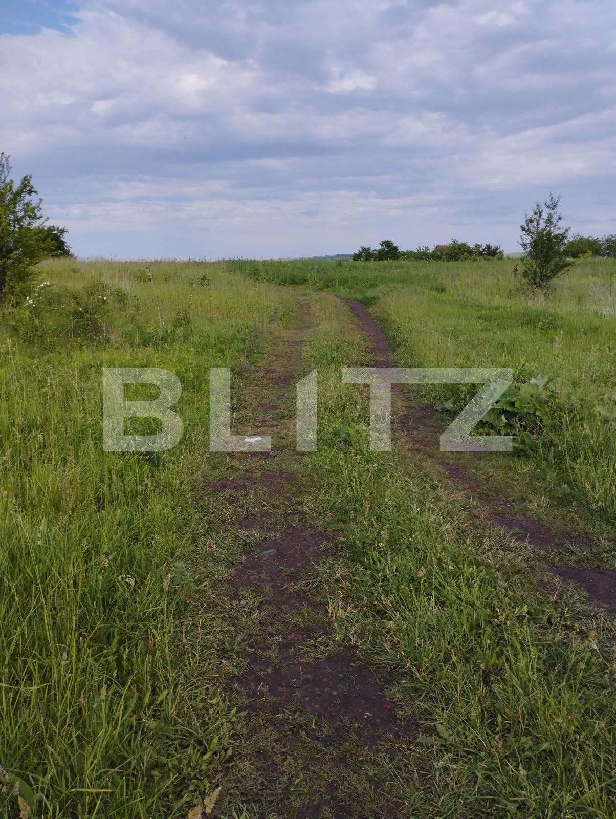 Teren de vânzare Sopor - 88286TV | BLITZ Cluj-Napoca | Poza4