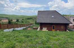 Casa individuala, teren de 720 mp, Chinteni