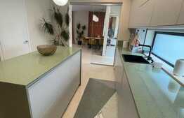 Locuinta superba! 5 camere, garaj, view 205 mp si 340 mp teren in zona Grigorescu