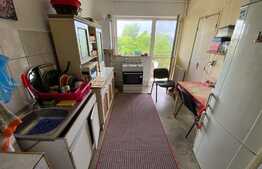 Apartament 2 camere decomandate, 51 mp, 2 balcoane, zona Grădinii Botanice