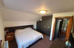 Casa individuala, 197 mp, 500 mp teren, zona Florilor