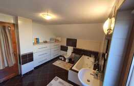 Casa individuala, 197 mp, 500 mp teren, zona Florilor