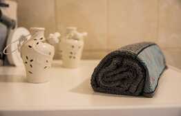 Cabana agrement, 170 mp, teren 3300 mp, iaz de pescuit, Vladeasa 