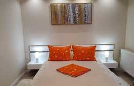 Duplex cu 4 camere, 117 mp, teren 255 mp, terasa, Borhanci