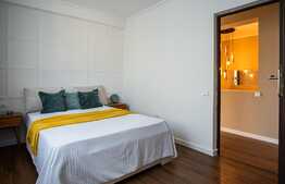 Casa si apartament, lux, 170 mp utili, 2 gradini, ciubar, zona verde