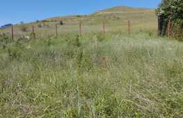 Teren 590 mp, in Campenesti, cu autorizatie de constructie