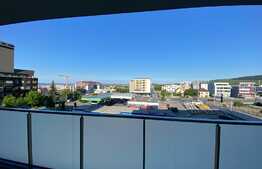 Apartament cu 2 camere, pet friendly, zona strazii Nicolae Steinhardt