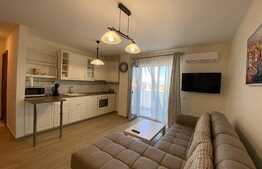 Apartament cu 2 camere, pet friendly, zona strazii Nicolae Steinhardt