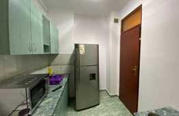 Apartament  camera cu nisa de dormit, 50mp, pet friendly, zona Dorobantilor