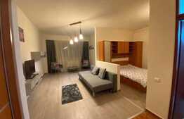 Apartament  camera cu nisa de dormit, 50mp, pet friendly, zona Dorobantilor