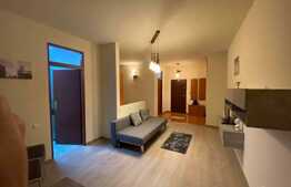 Apartament  camera cu nisa de dormit, 50mp, pet friendly, zona Dorobantilor