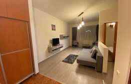 Apartament  camera cu nisa de dormit, 50mp, pet friendly, zona Dorobantilor