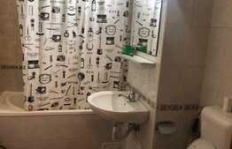 Apartament  camera cu nisa de dormit, 50mp, pet friendly, zona Dorobantilor