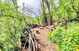 Casa 3 camere, 319 mp teren, panorama, Schei 