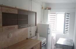 Garsonieră decomandată, 25 mp, Mănăștur 