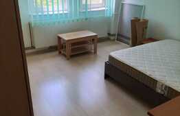 Garsonieră decomandată, 25 mp, Mănăștur 