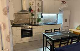 Oportunitate de investitie, apartament cu 2 camere, parcare, preluare de chiriasi 