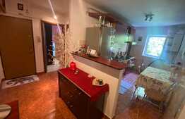 Apartament de 2 camere, 50mp, decomandat, Zona Racadau 