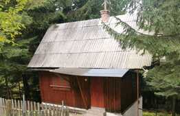 Cabana 50 mp, teren 200 mp, in statiunea Muntele Baisorii 