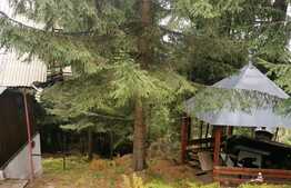 Cabana 50 mp, teren 200 mp, in statiunea Muntele Baisorii 