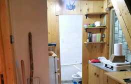 Cabana 50 mp, teren 200 mp, in statiunea Muntele Baisorii 