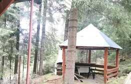 Cabana 50 mp, teren 200 mp, in statiunea Muntele Baisorii 