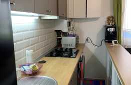 Garsonieră 25 mp, bloc nou, posibilitate parcare, zona Plevnei