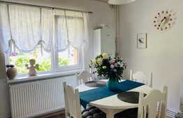  Apartament de o camera, 40 mp, decomandat, Plopilor