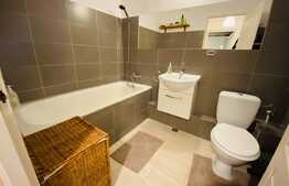  Apartament de o camera, 40 mp, decomandat, Plopilor