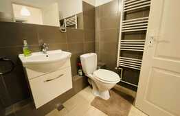  Apartament de o camera, 40 mp, decomandat, Plopilor