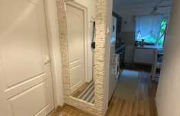  Apartament de o camera, 40 mp, decomandat, Plopilor