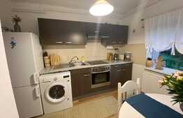  Apartament de o camera, 40 mp, decomandat, Plopilor