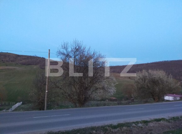 Teren de vânzare Salicea - 88605TV | BLITZ Cluj-Napoca | Poza2