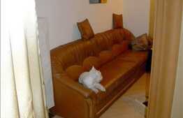 Vanzare apartament 52 mp, 2 camere decomandate, zona Complex Big. Boxa inclusa!