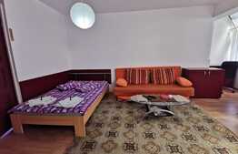 Apartament de o camera, 50 mp, zona Casa Piratilor 