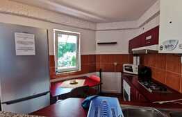 Apartament de o camera, 50 mp, zona Casa Piratilor 