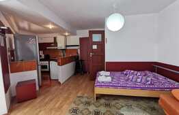 Apartament de o camera, 50 mp, zona Casa Piratilor 