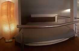 Apartament de 2 camere, 44 mp, curte privata, zona Hotel Premier 